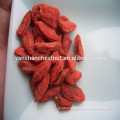 China Goji Berries Bulk Goji Berries Wholesale Goji Berry